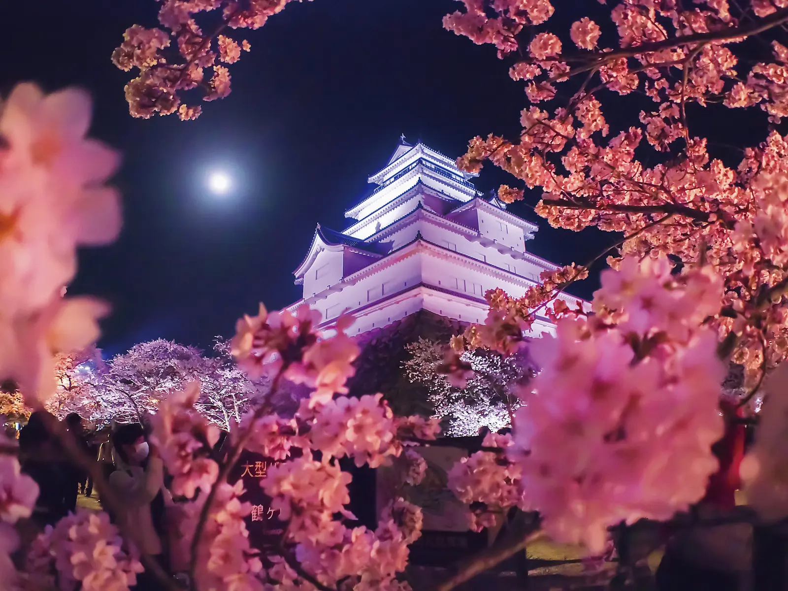 会津の夜に、寄り添う。